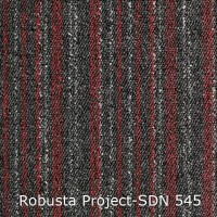 Robusta Project-SDN 545